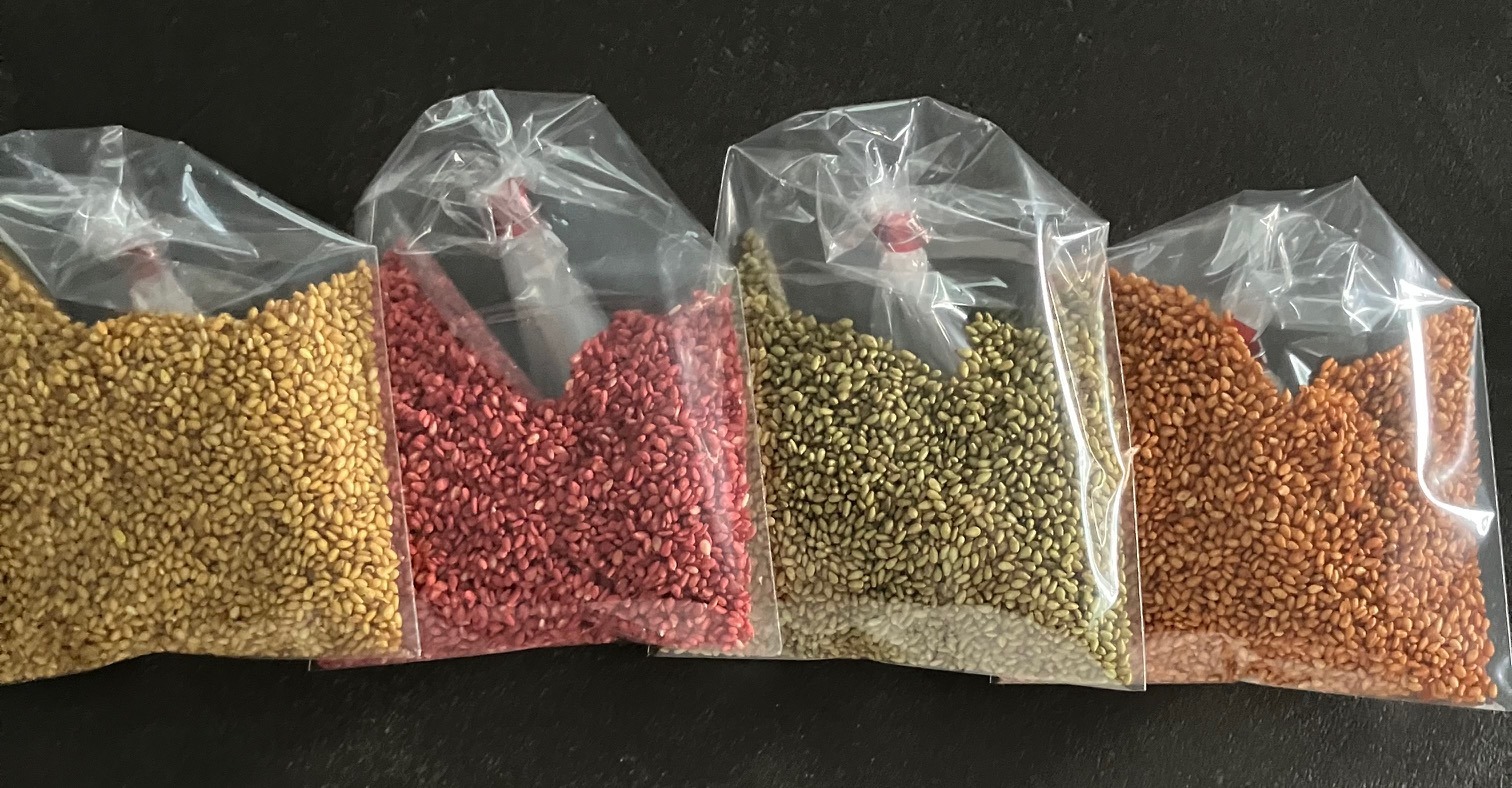 GRAINES de SÉSAME - Les 4 SACHETS - L'Ours Orange