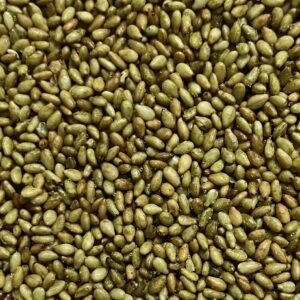 GRAINES de SÉSAME au WASABI - L'Ours Orange